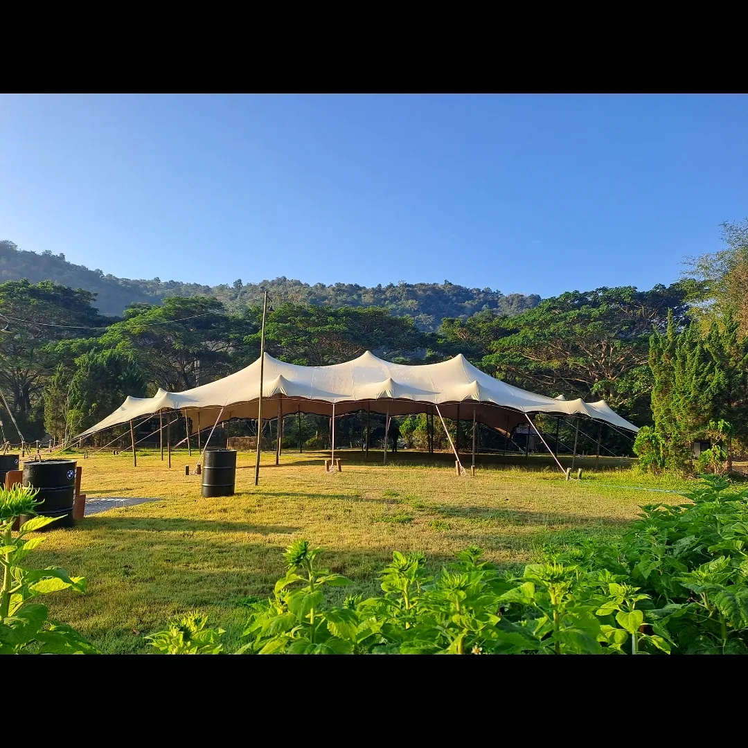 Festival tent setup